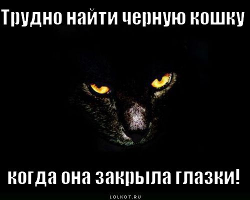 Черная кошка в черной комнате