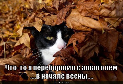 что-то я переборщил с алкоголем 