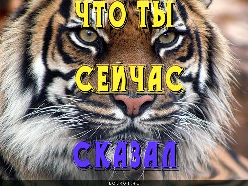 что ты сказал???