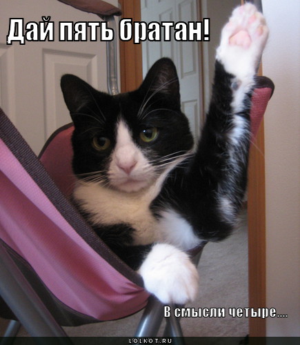 Дай четыре!