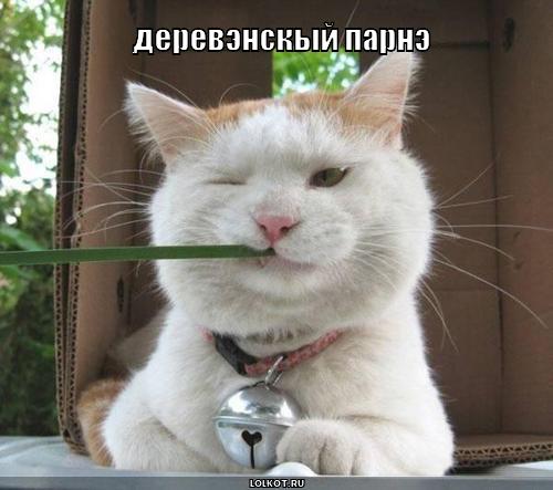 деревэнскый парнэ