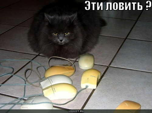 эти ловить?