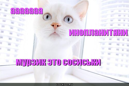 Это - сосиськи
