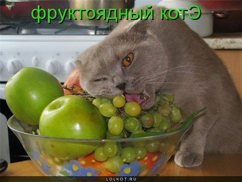 фруктоядный 