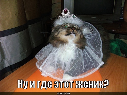 где жених?