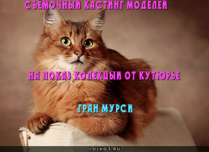 Гран мурси!