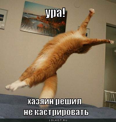 Хазяин решил так решил!