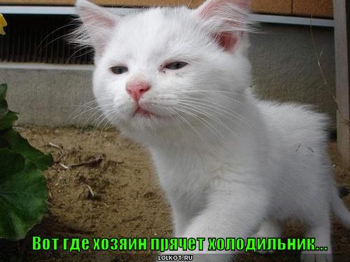 холодильник