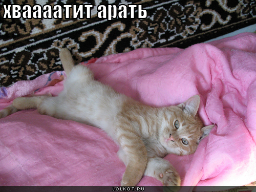 хваааатит арать