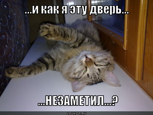 ...и как я эту дверь..., ...незаметил...?
