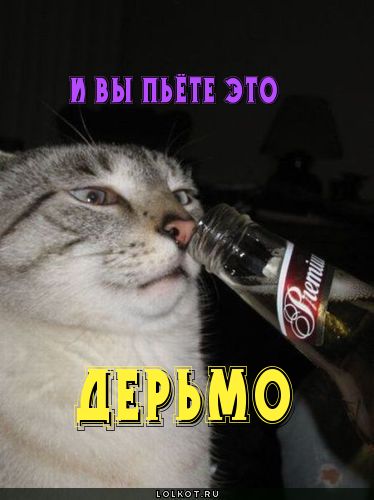 И вы пьёте это?