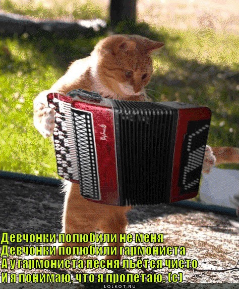 и я понимаю, что я пролетаю (с)