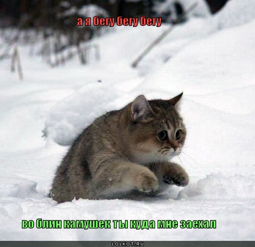 Камушком заехал... 