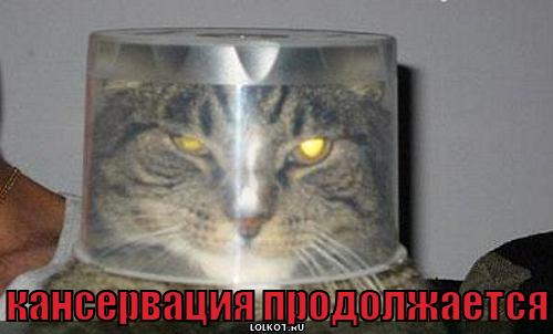 кансервация продолжается