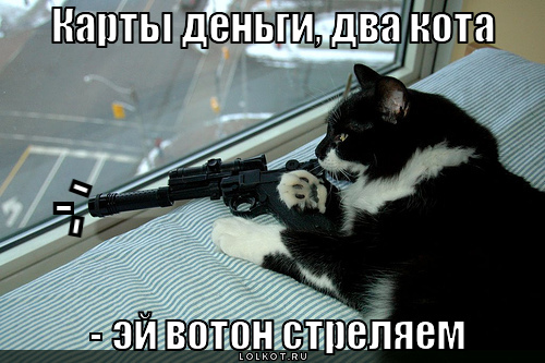 карты деньги, два кота, эй вотон стреляем, -, -, -, -