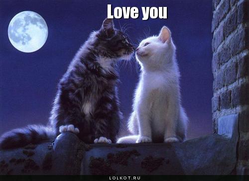 love you