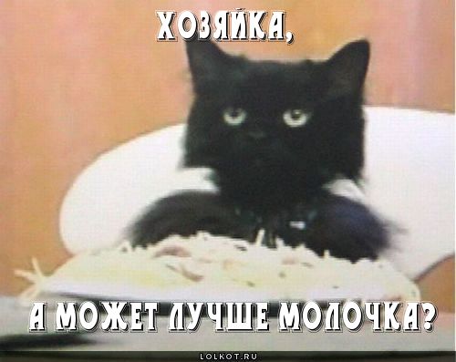 лучше молочка