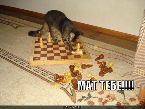 мат тебе!!!!