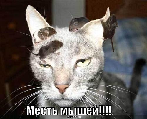 месть мышей!!!!