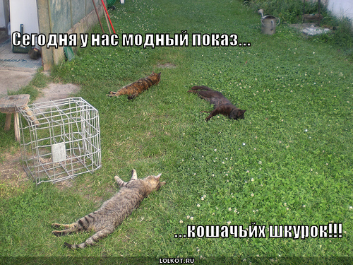  модный показ