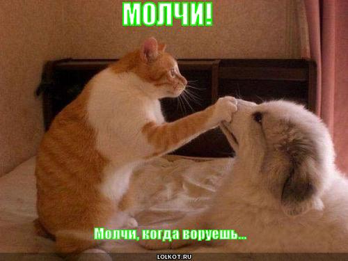 молчи, когда воруешь