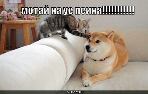 мотай на ус