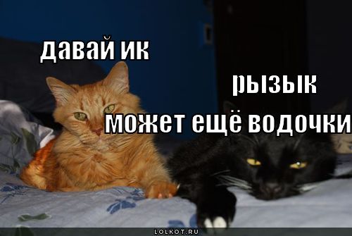 Может ещё водочки?