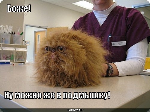 можно в подмышку