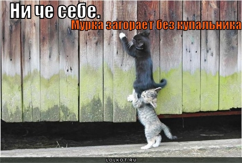 Мурка без купальника