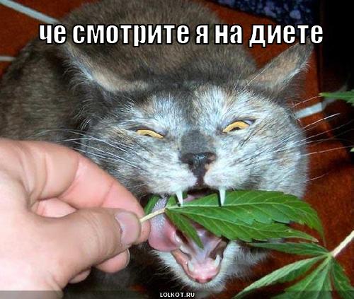 ... на диете
