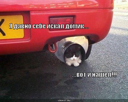  нашел домик!