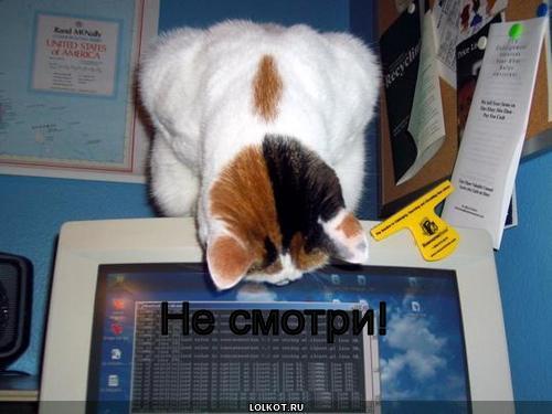 не смотри!