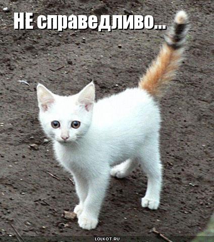 не справедливо...