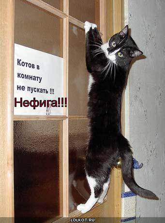 нефига!!!