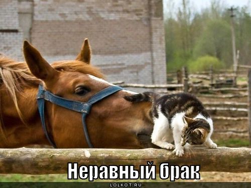неравный брак