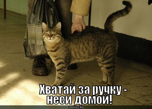 неси домой