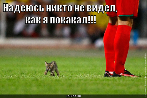 Никто не видел?
