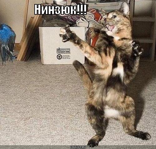 нинзюк!