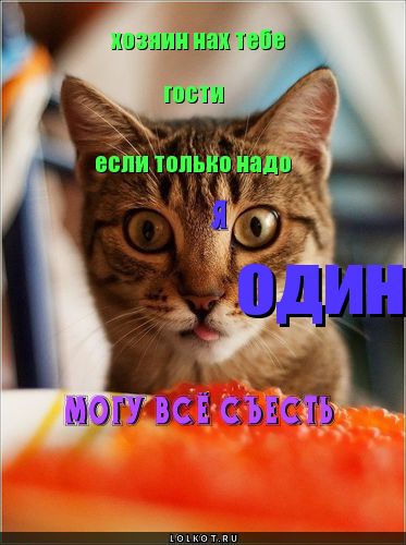 Один могу всё съесть!
