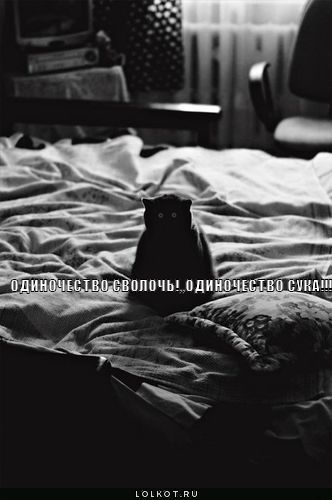 Одиночество