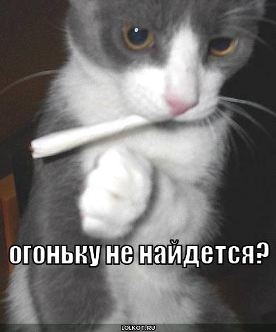 огоньку не найдется?