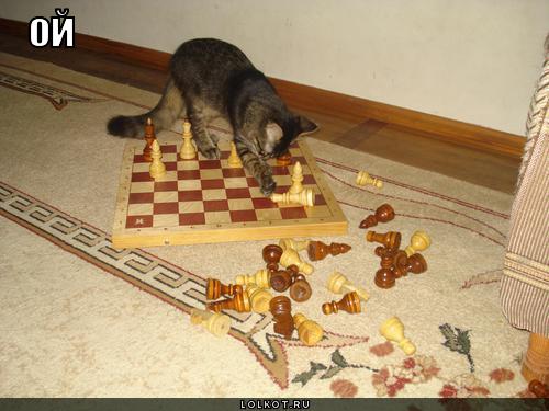 ой