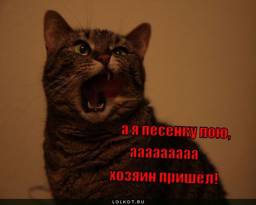 Песенку пою!