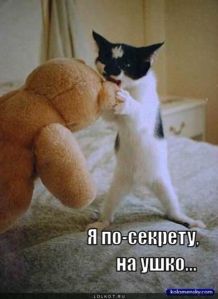  по-секрету