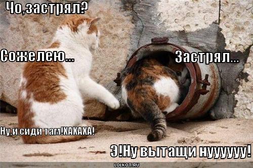 Поговорили