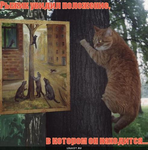Положение