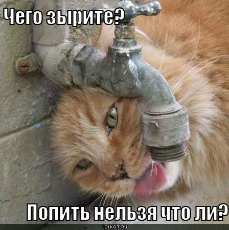 Попить нельзя что ли?