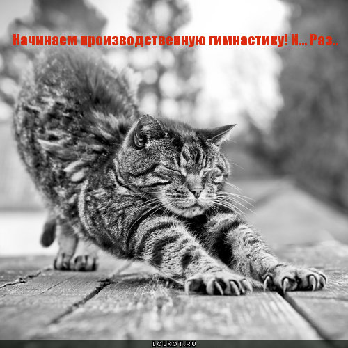 производственная гимнастика