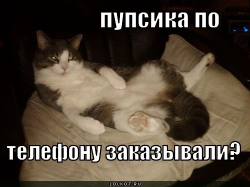 пупсика заказывали?