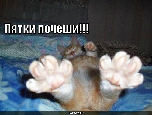 Пятки почеши!!!